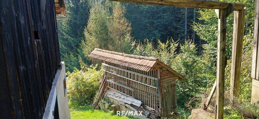 Blick zum Waldgrundstück