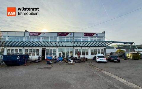 Bamberg Halle, Bamberg Hallenfläche