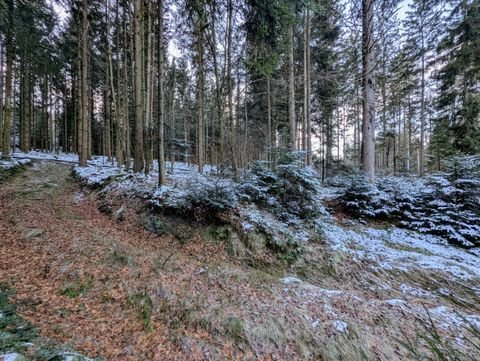 Waldkirchen Bauernhöfe, Landwirtschaft, Waldkirchen Forstwirtschaft