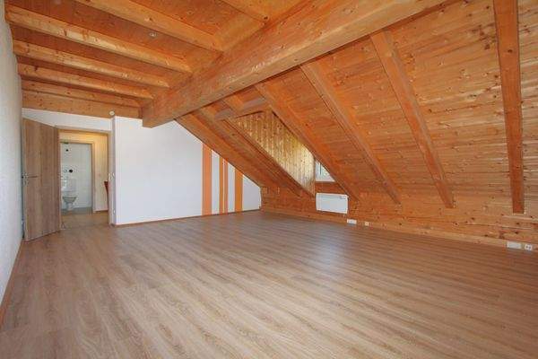 ... helles Wohnzimmer mit sichtbarem Dachstuhl ...