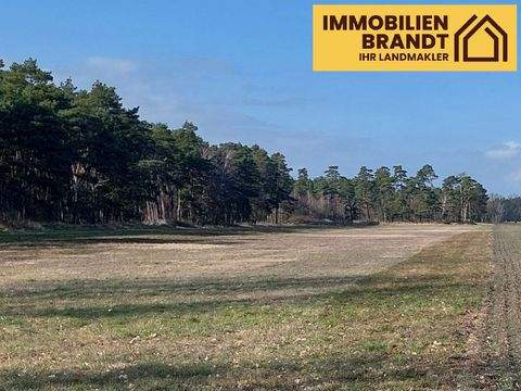 Klötze Bauernhöfe, Landwirtschaft, Klötze Forstwirtschaft