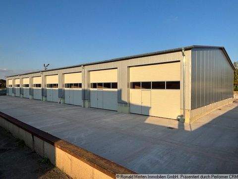 Witterda Halle, Witterda Hallenfläche