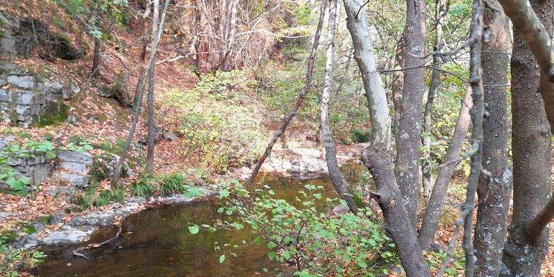 Detached Duplex Villas with Gardens in Bursa