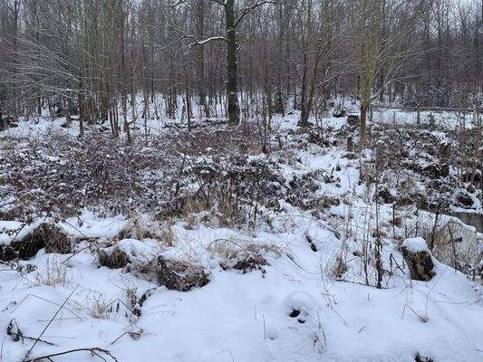 oberer Teil des Grundstücks
