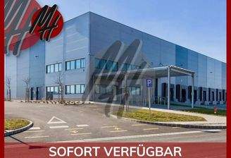 INFOS UNTER: 06171-586000