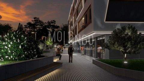 Luka Halle, Luka Hallenfläche