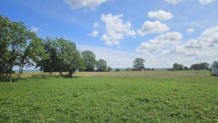 Blick von der Terrasse