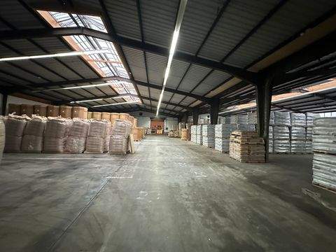 Winsen (Luhe) Halle, Winsen (Luhe) Hallenfläche