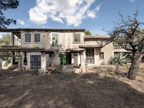 Alaró Häuser, Alaró Haus kaufen