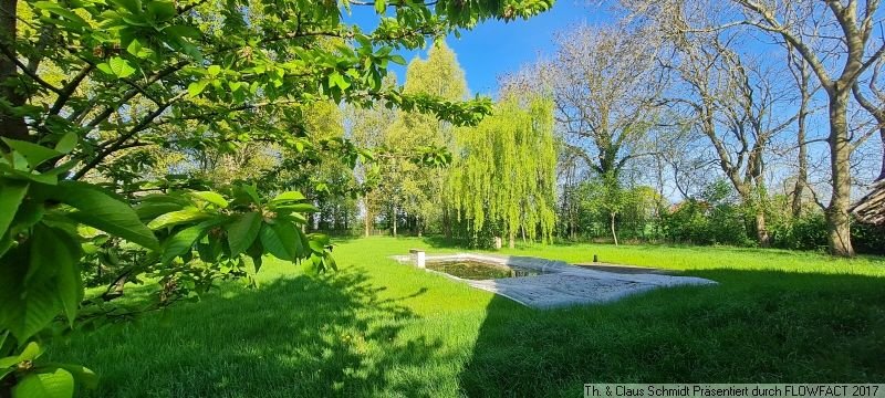 Der Naturpool im Garten