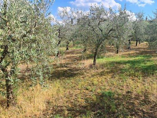 Wunderschönes Anwesen