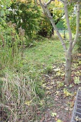 Aussenbereich - Gartenanteil