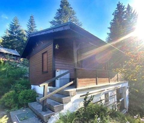 Saalfeld Grundstücke, Saalfeld Grundstück kaufen