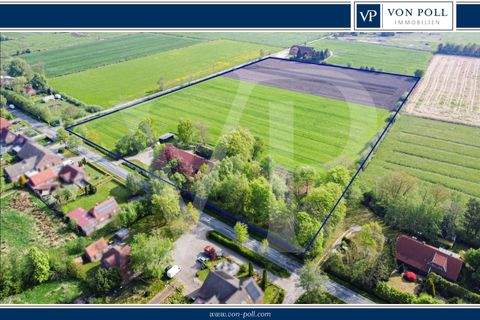 Großheide Häuser, Großheide Haus kaufen