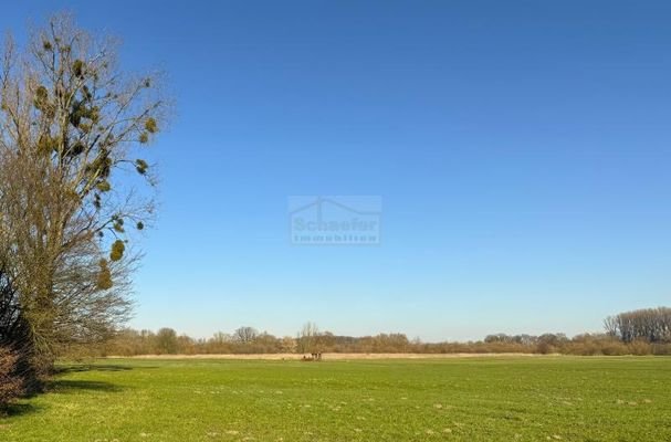 Ausblick Lippeaue