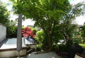 Garten mit Pool