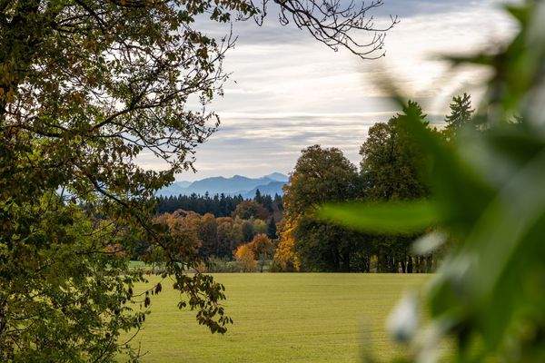 Blick über die Felder