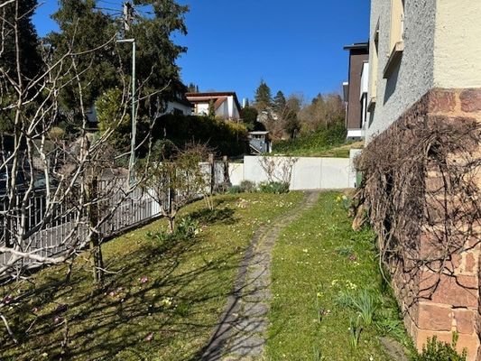 Vorgarten mit Grundstückszugang