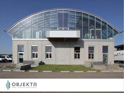 Vöhringen Halle, Vöhringen Hallenfläche