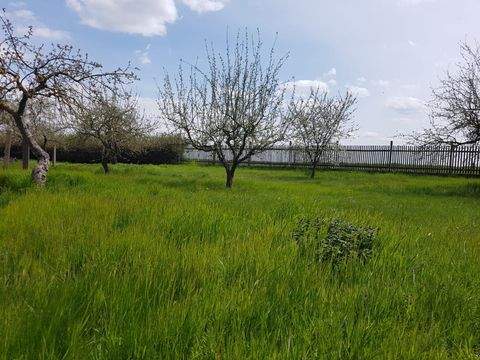 Gotha Häuser, Gotha Haus kaufen