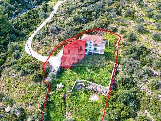 img_4bb7ee2b-7a4b-402e-9254-bfe4a0848b9d