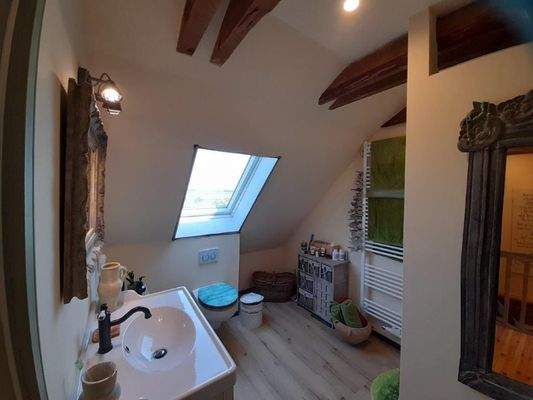 helles Duschbad im DG.jpg