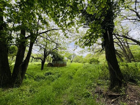 p58444948.jpg