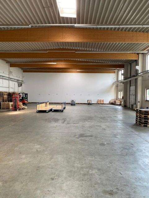 Serba Halle, Serba Hallenfläche