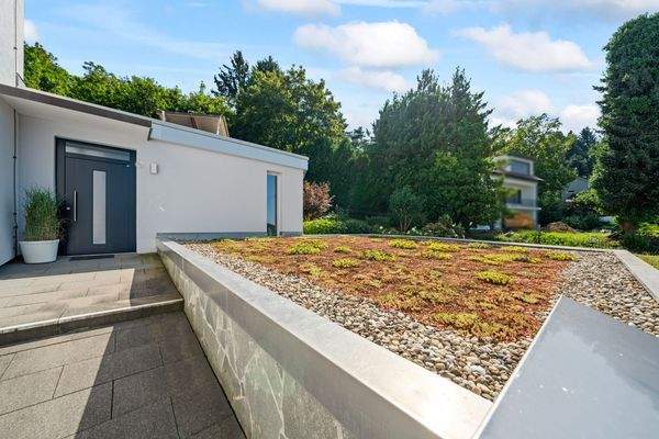 Blick über das begrünte Garagendach