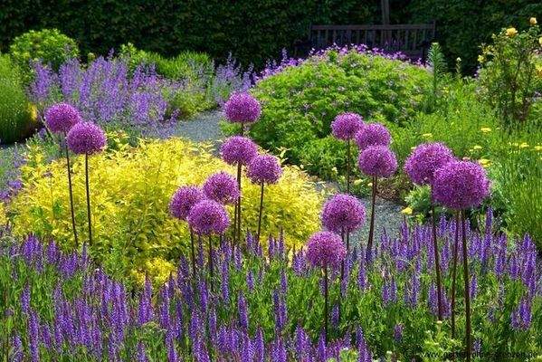 ...mit unzähligen Gestaltungsmöglichkeiten