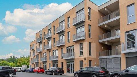 Dresden Büros, Büroräume, Büroflächen 