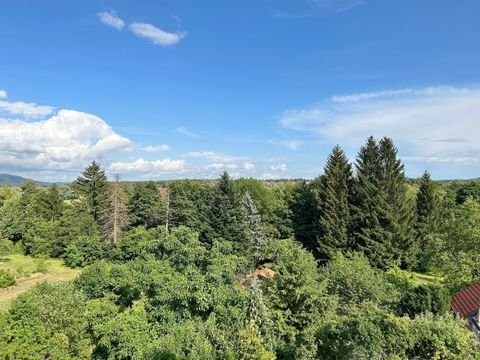 Lauf an der Pegnitz Wohnungen, Lauf an der Pegnitz Wohnung mieten