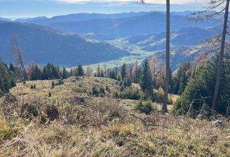 Aussicht Hüttenplatz