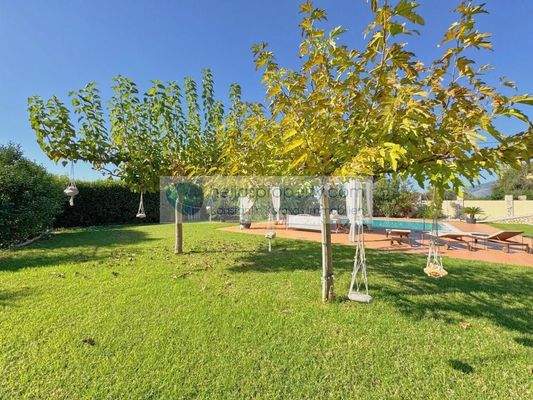 52cddb7883e74d06bb1220174b06d7be-original