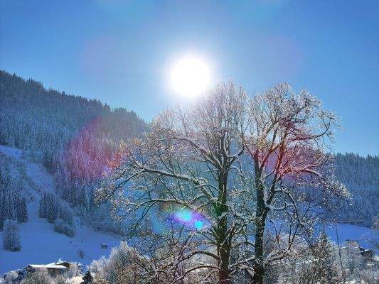 DJI_20240111141120_0428_D