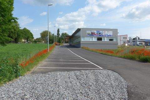 Horn Halle, Horn Hallenfläche