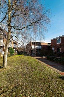 SINKO Buchenknick-6.jpg