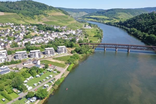 Moselblick