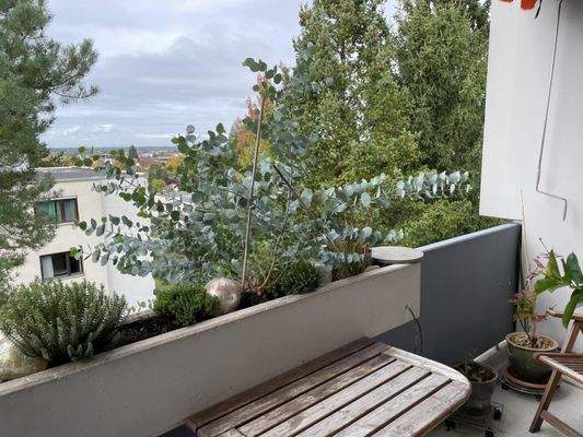 Ausblick: über die Dächer von Offenburg