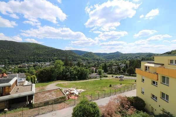 Fernblick über Hinterbrühl