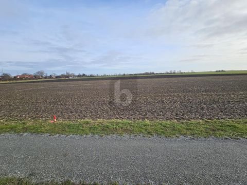 Fehmarn Grundstücke, Fehmarn Grundstück kaufen