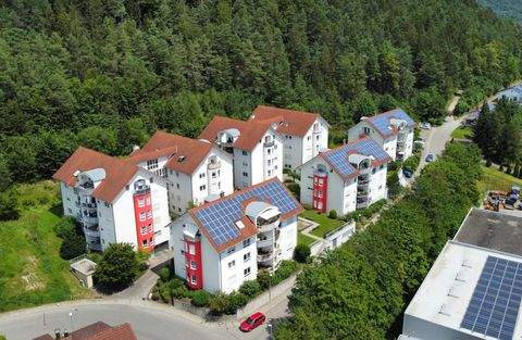 Immendingen Wohnungen, Immendingen Wohnung mieten