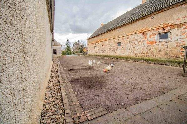 Hühnerstall Außenbereich