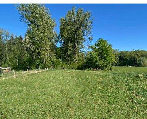 Grundstück mit direkt angrenzendem Wald