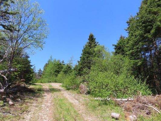 Cape Breton - 11,4 Hektar inmitten einer herrliche