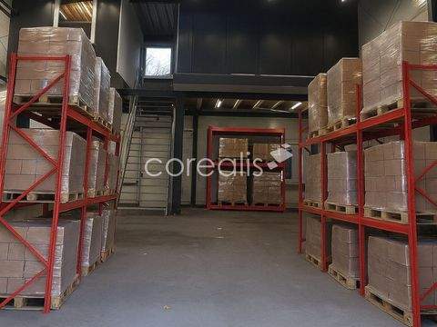 Krefeld Halle, Krefeld Hallenfläche