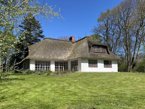 Tating Häuser, Tating Haus kaufen