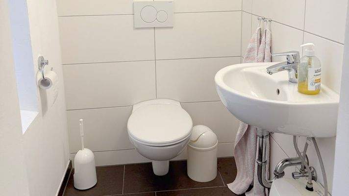 modernes gepflegtes WC 