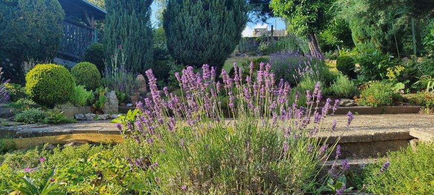 Impressionen vom Garten