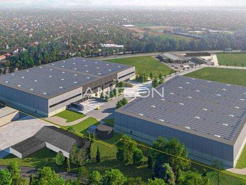 Emmerich am Rhein Halle, Emmerich am Rhein Hallenfläche